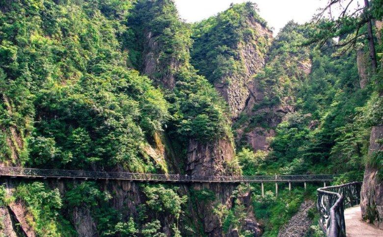 动物帮帮忙保卫家园